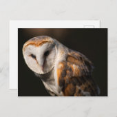 Uhus Postkarte (Vorne/Hinten)