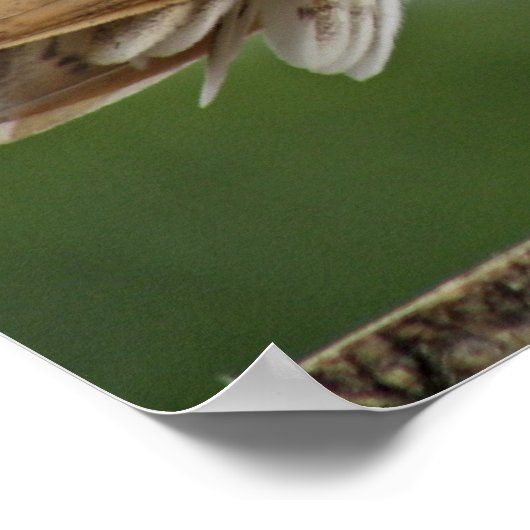 Uhusbild Poster (Ecke)