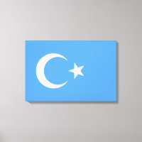 Uighurische Flagge Ostturkistans (Uighuristan)