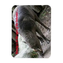 Uiguanische Tiere, Babirusa Magnet