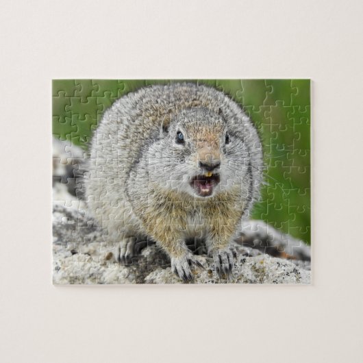 Uinta Ground Eichhörnchen Puzzle (Horizontal)