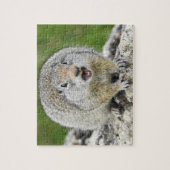 Uinta Ground Eichhörnchen Puzzle (Vertikal)