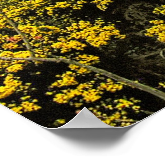 (UK) Brighton Pavillion POSTER (Ecke)