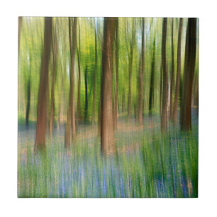 UK England Blauglocken-Eichenwald im Frühling Fliese