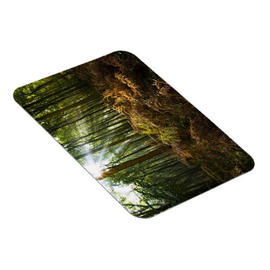 UK, England. Sonnenstrahlen durch Magnet (Rechte Seite)