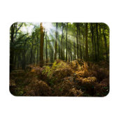 UK, England. Sonnenstrahlen durch Magnet (Horizontal)