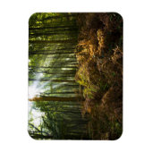 UK, England. Sonnenstrahlen durch Magnet (Vertikal)