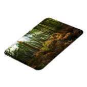 UK, England. Sonnenstrahlen durch Magnet (Linke Seite)