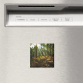 UK, England. Sonnenstrahlen durch Magnet (In Situ (Geschirrspüler))