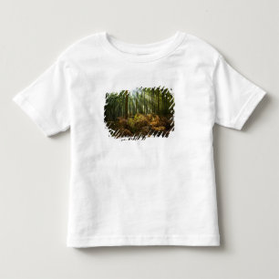 UK, England. Sonnenstrahlen durchfluten Kleinkind T-shirt