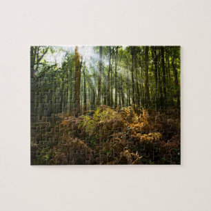 UK, England. Sonnenstrahlen durchfluten Puzzle