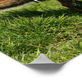 UK, England. Vulpes vulpes) Poster (Ecke)