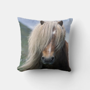 UK, Schottland, Shetland-Inseln, Shetlandpony Kissen