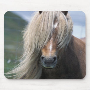 UK, Schottland, Shetland-Inseln, Shetlandpony Mousepad