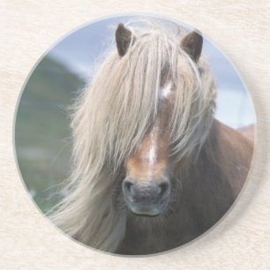 UK, Schottland, Shetland-Inseln, Shetlandpony Sandstein Untersetzer