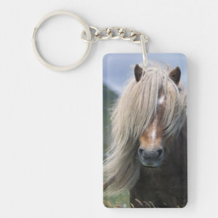 UK, Schottland, Shetland-Inseln, Shetlandpony Schlüsselanhänger