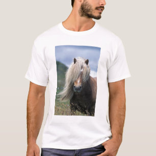 UK, Schottland, Shetland-Inseln, Shetlandpony T-Shirt