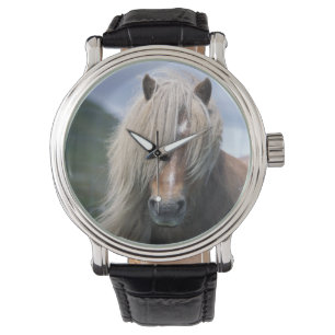 UK, Schottland, Shetland Islands, Shetland Pony Armbanduhr