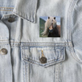 UK, Schottland, Shetland Islands, Shetland Pony Button (Beispiel)