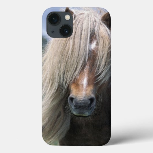 UK, Schottland, Shetland Islands, Shetland Pony Case-Mate iPhone Hülle (Rückseite)