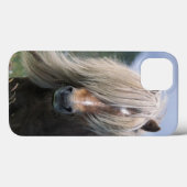 UK, Schottland, Shetland Islands, Shetland Pony Case-Mate iPhone Hülle (Rückseite (Horizontal))