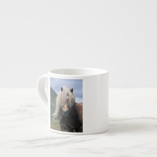 UK, Schottland, Shetland Islands, Shetland Pony Espressotasse (Vorderseite Links)