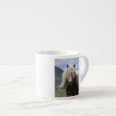 UK, Schottland, Shetland Islands, Shetland Pony Espressotasse (Vorderseite Rechts)