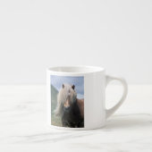 UK, Schottland, Shetland Islands, Shetland Pony Espressotasse (Rechts)