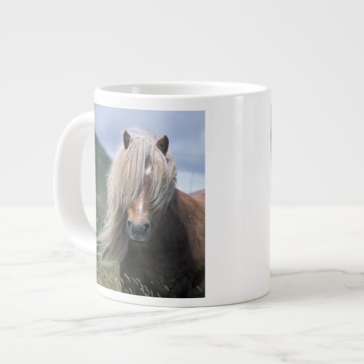 UK, Schottland, Shetland Islands, Shetland Pony Jumbo-Tasse (Vorderseite Links)