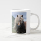 UK, Schottland, Shetland Islands, Shetland Pony Jumbo-Tasse (Rechts)
