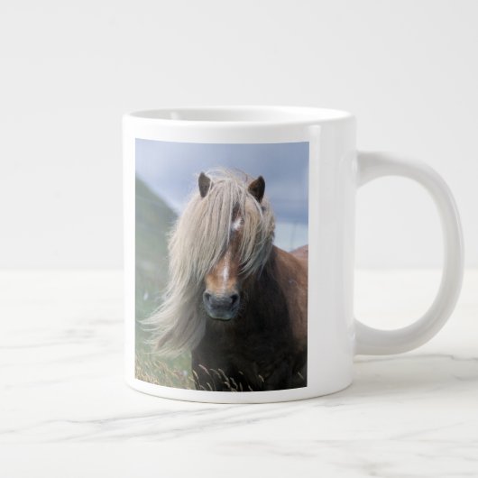 UK, Schottland, Shetland Islands, Shetland Pony Jumbo-Tasse (Rechts)