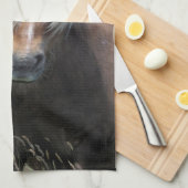 UK, Schottland, Shetland Islands, Shetland Pony Küchentuch (Viertel Falte)