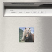 UK, Schottland, Shetland Islands, Shetland Pony Magnet (In Situ (Geschirrspüler))