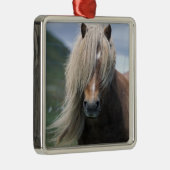 UK, Schottland, Shetland Islands, Shetland Pony Silbernes Ornament (Rechts)