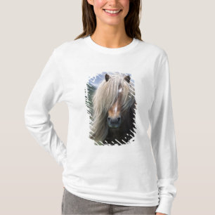 UK, Schottland, Shetland Islands, Shetland Pony T-Shirt