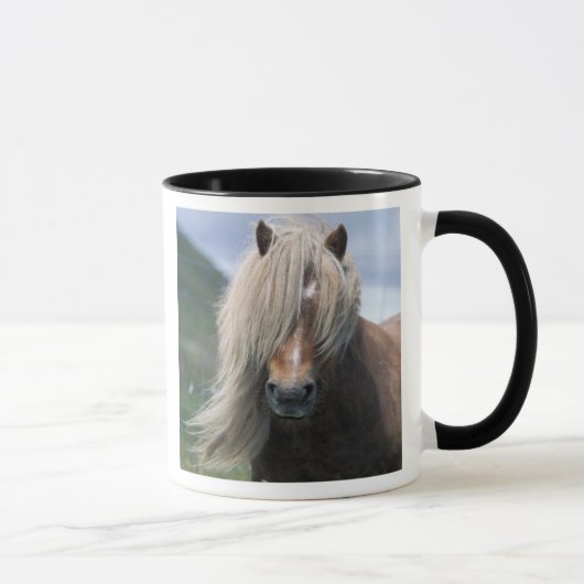 UK, Schottland, Shetland Islands, Shetland Pony Tasse (Rechts)