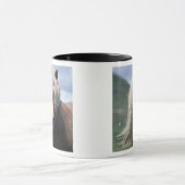 UK, Schottland, Shetland Islands, Shetland Pony Tasse (Zentrum)