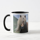 UK, Schottland, Shetland Islands, Shetland Pony Tasse (Links)