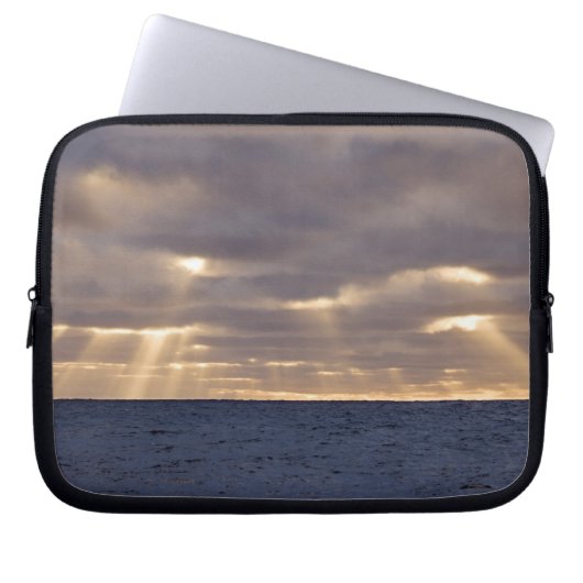 UK Territory, South Georgia Island, Scotia Sea. Laptopschutzhülle (Vorderseite)