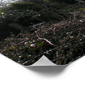 (UK) Windmill Print & Poster (Ecke)