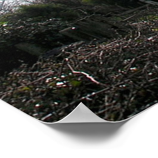 (UK) Windmill Print & Poster (Ecke)