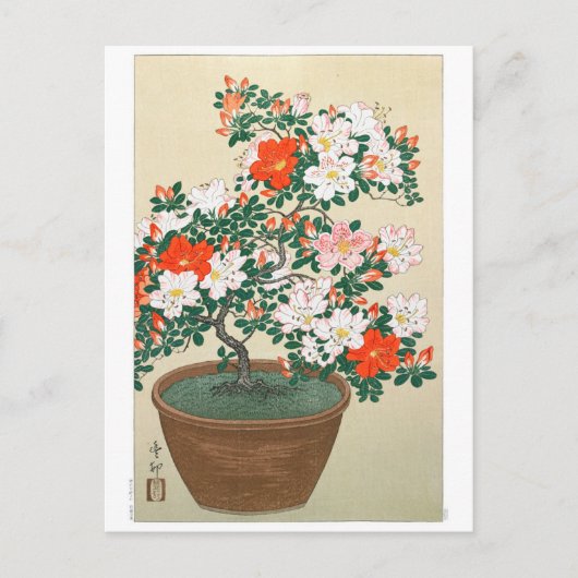 Ukiyoe [Koson] Azalea in Pot Postkarte (Vorderseite)