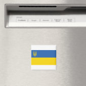 Ukraine-Flagge mit Dreieck Magnet (In Situ (Geschirrspüler))