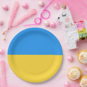 Ukraine-Flagge Pappteller (Party)