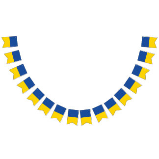 Ukraine-Flagge, patriotisches Geschenk des ukraini Wimpelkette
