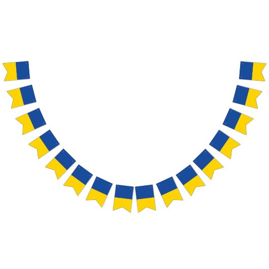 Ukraine-Flagge, patriotisches Geschenk des ukraini Wimpelkette (Alle)