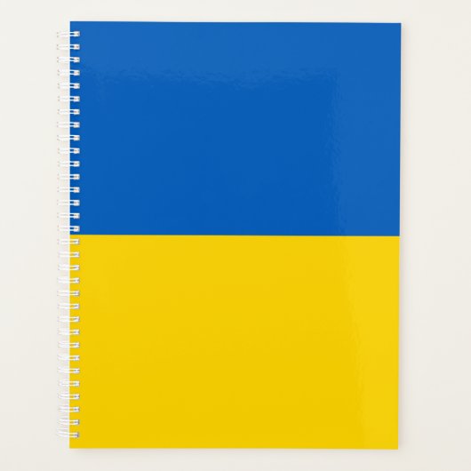 Ukraine-Flagge Planer (Vorderseite)