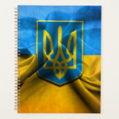 Ukraine Flagge Tryzub Trident Blue Gold 2 Plane Planer (Vorderseite)