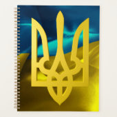 Ukraine Flagge Tryzub Trident Blue Gold Gold Planer (Vorderseite)