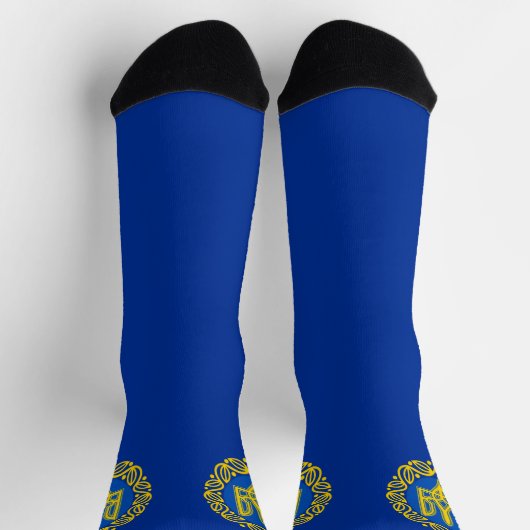 Ukraine, Flagge, Wappen, Tryzub Ukrainische Republ Socken (Oben)